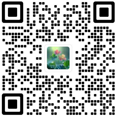 Magnetic Resonance Letters杂志模板